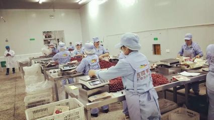 白馬情天池美——電商發展新篇章 左占高局長率團考察西域美農公司