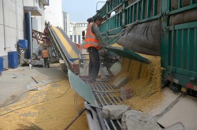 保障市民餐桌安全，探訪成都糧倉與糧食加工全流程
